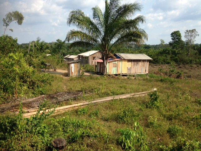 Typical Amazon house (outhouse on left)